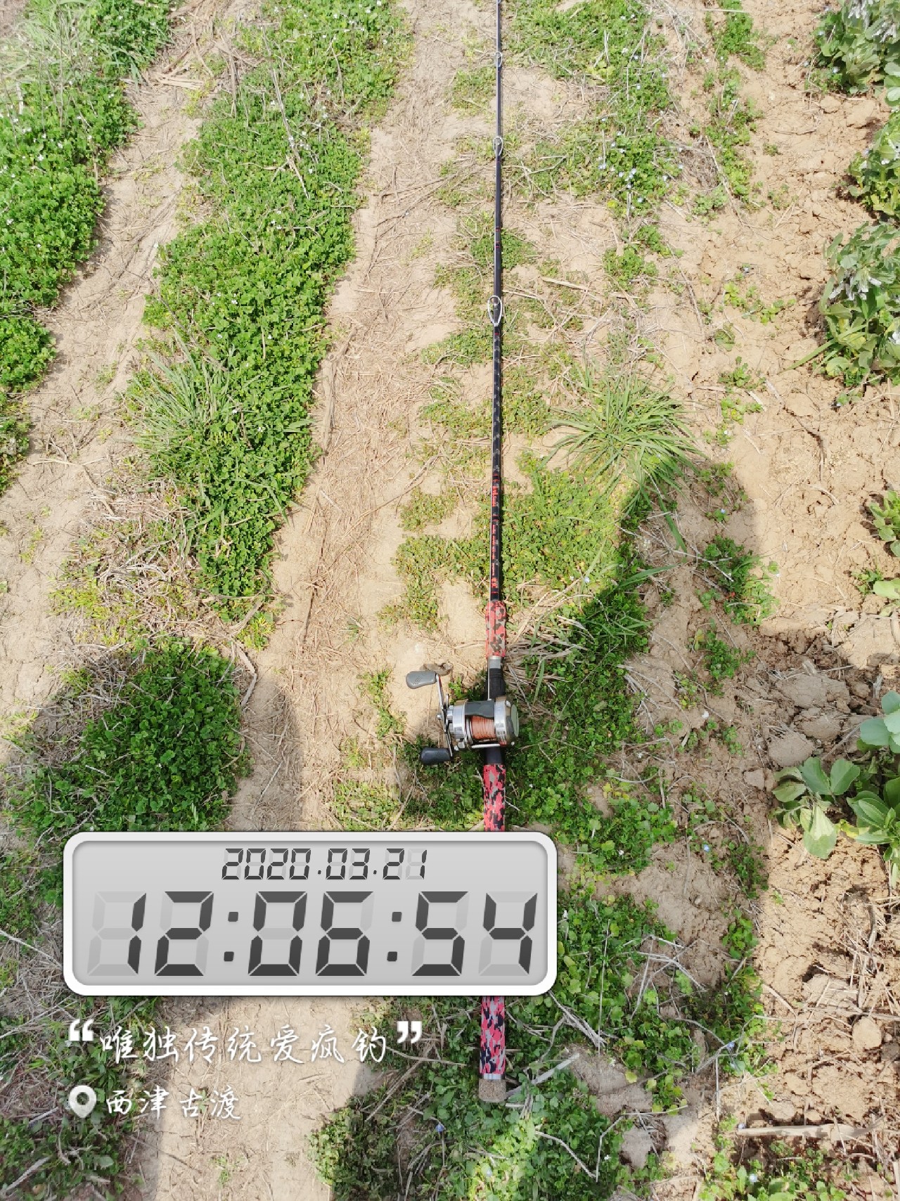 路亚雷强水老鼠,2022路亚雷强视频