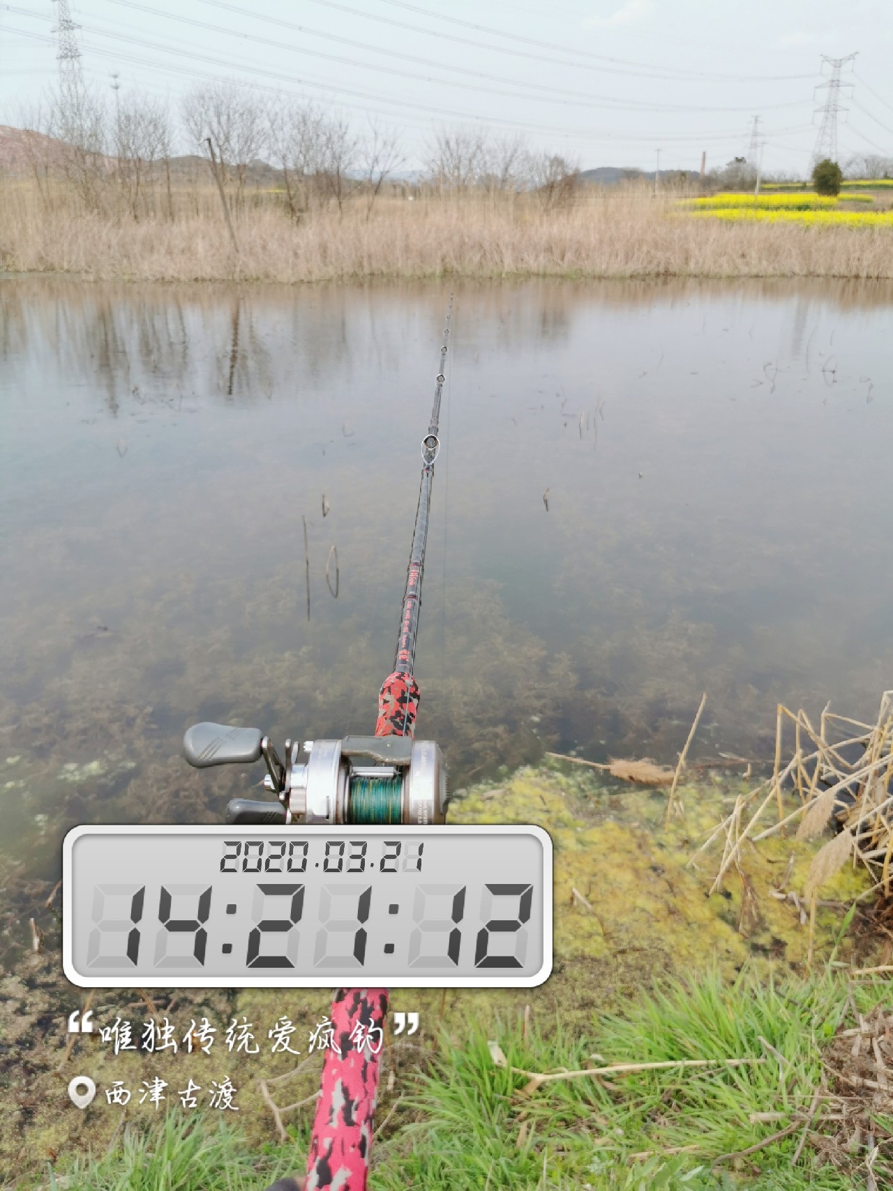 路亚雷强水老鼠,2022路亚雷强视频