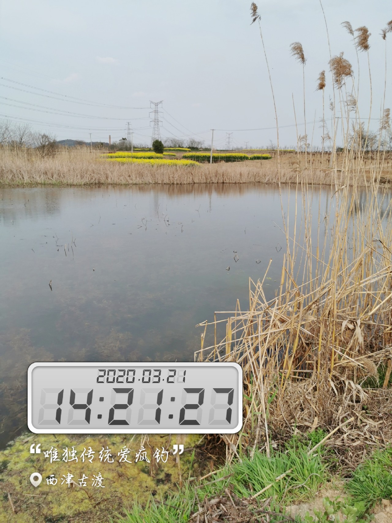 路亚雷强水老鼠,2022路亚雷强视频