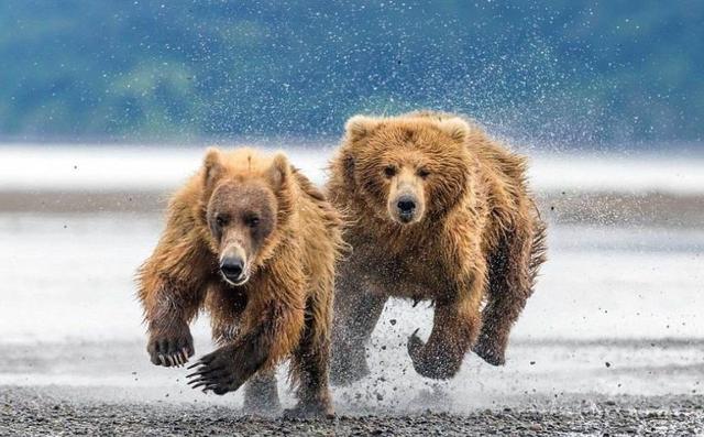 创意策划哪里来,策划和创意的区别