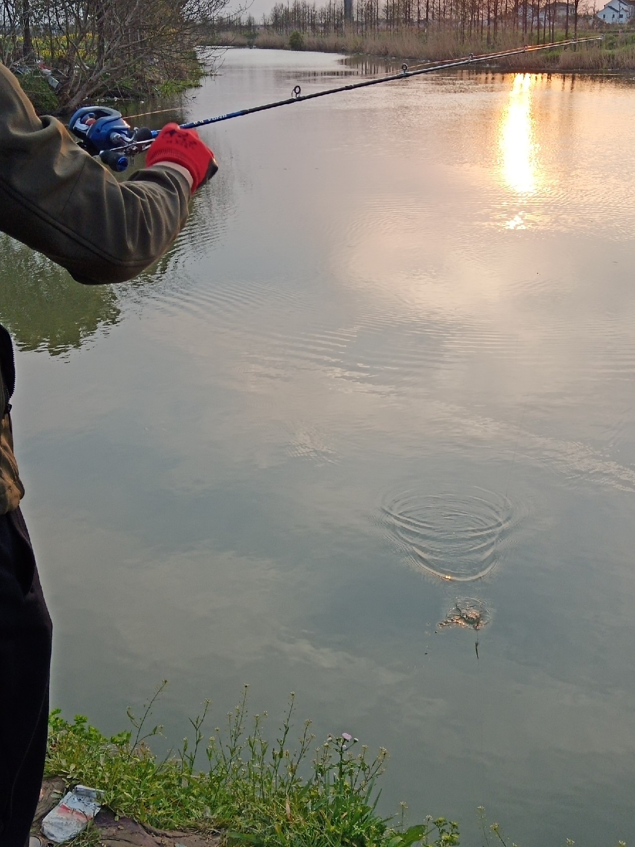 路亚小白入门知识,路亚小白入门教学