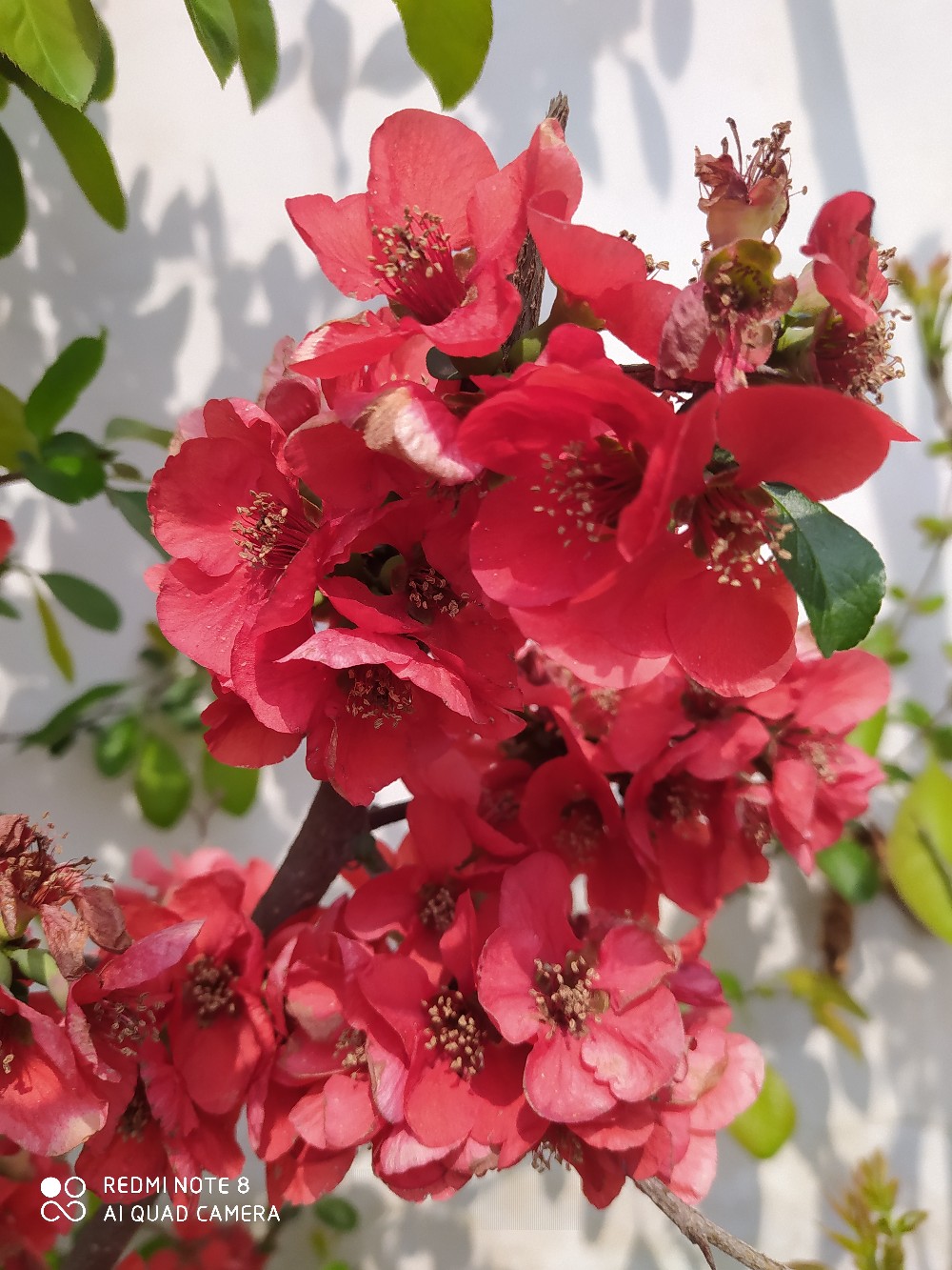 由鱼道联想到蚯蚓道，教你又快又准找蚯蚓