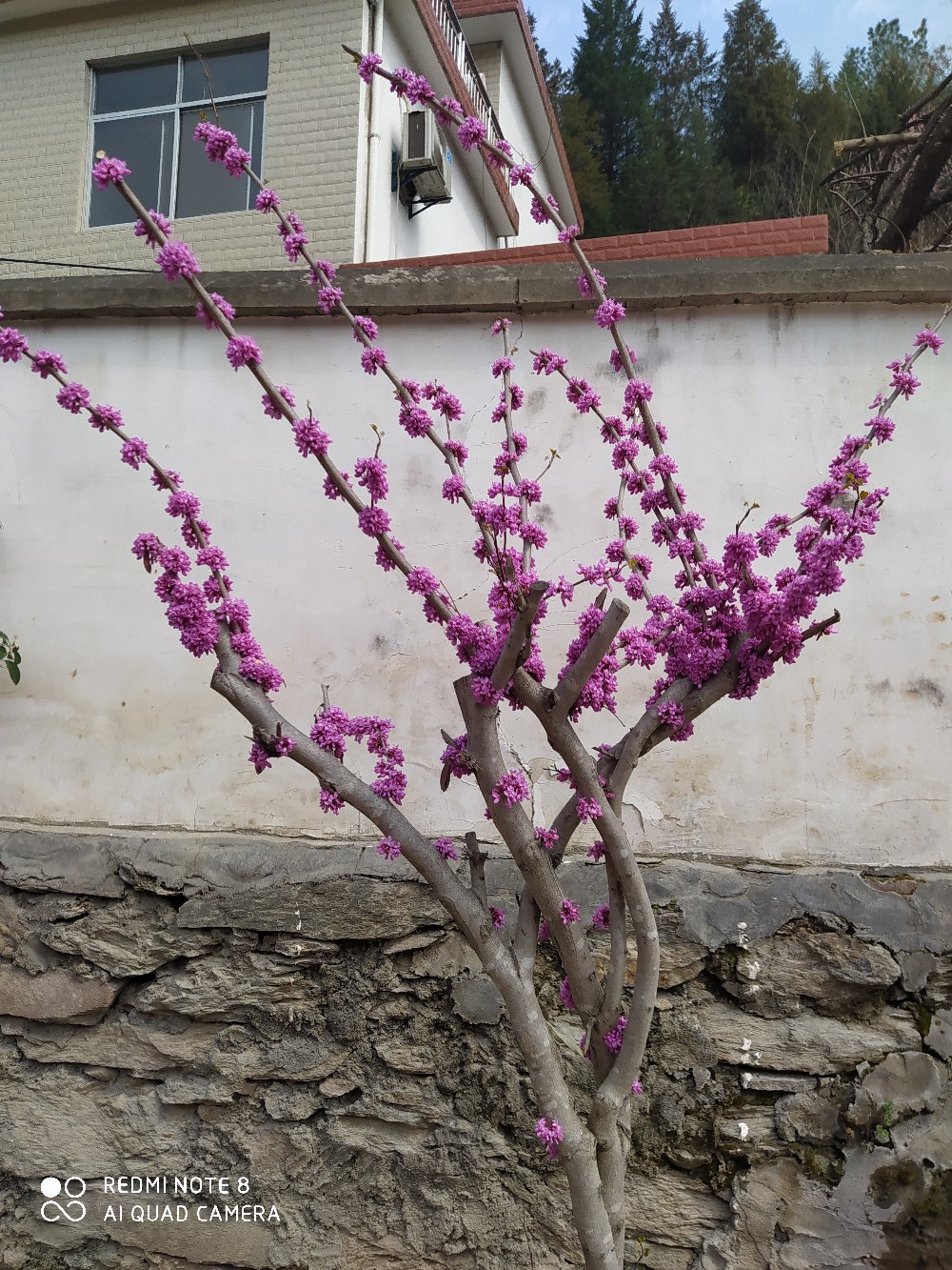 由鱼道联想到蚯蚓道，教你又快又准找蚯蚓