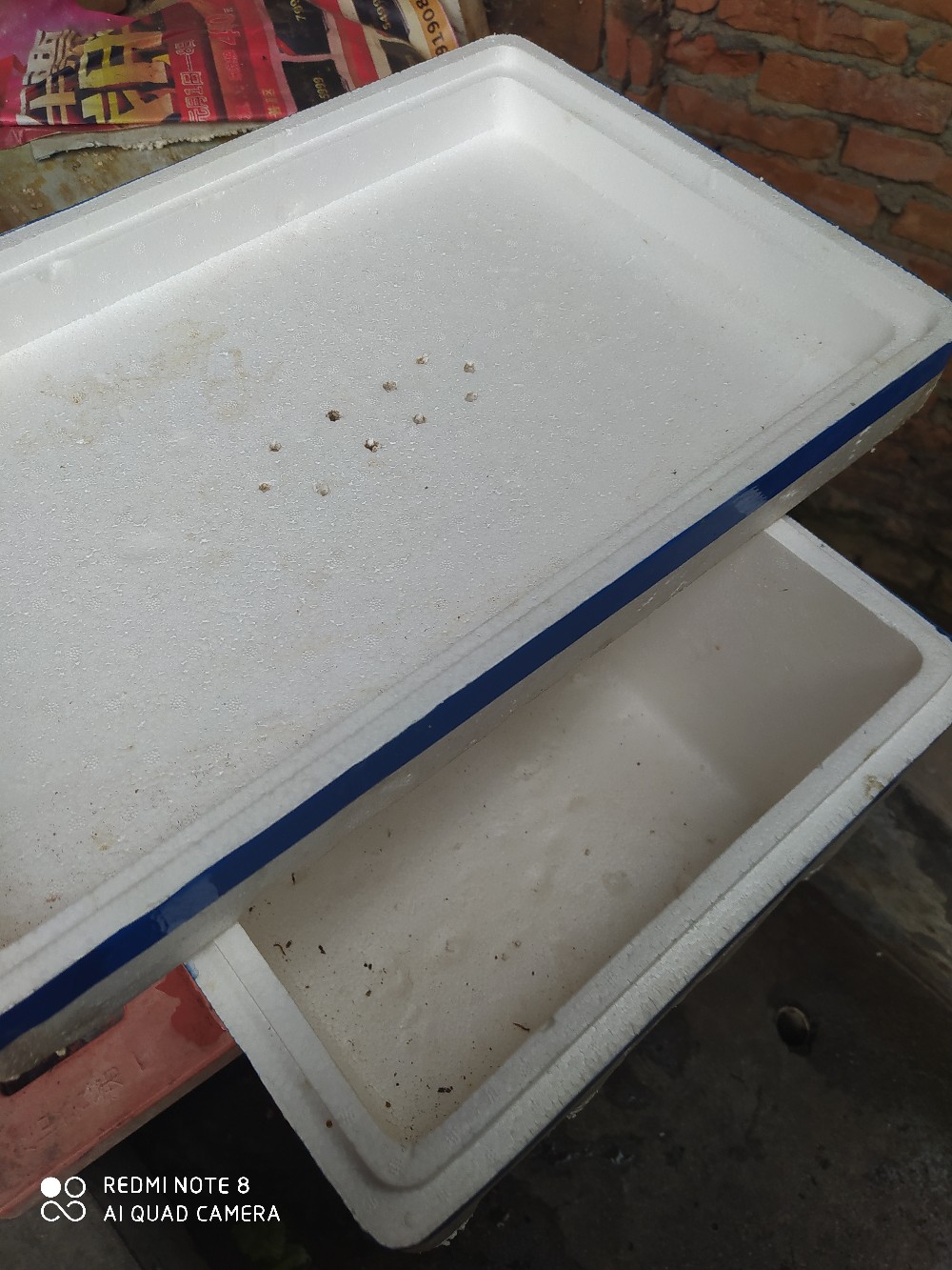 由鱼道联想到蚯蚓道，教你又快又准找蚯蚓