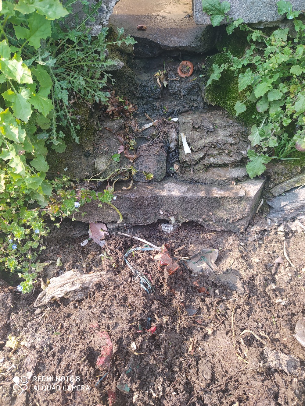 由鱼道联想到蚯蚓道，教你又快又准找蚯蚓