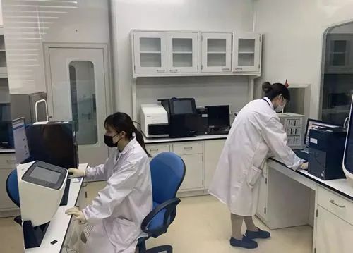 降低“假阴性”出现概率病毒检测这把上海“尺子”是如何诞生的?