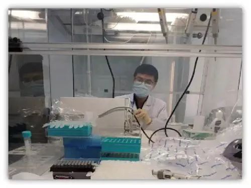 降低“假阴性”出现概率病毒检测这把上海“尺子”是如何诞生的?