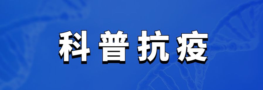热点|预防传染病,“手”当其冲