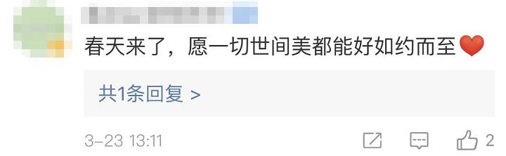 武大樱花雨现场,武大樱花周日还有票吗