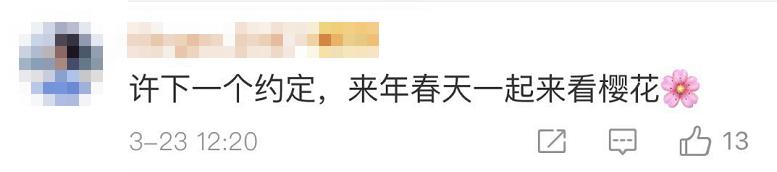 武大樱花雨现场,武大樱花周日还有票吗