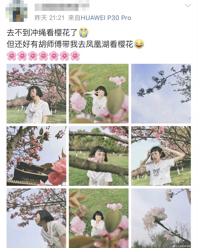 武大樱花雨现场,武大樱花周日还有票吗