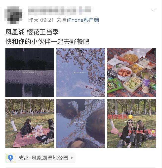 武大樱花雨现场,武大樱花周日还有票吗