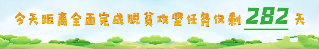 桂花村现任书记,桂花村书记是谁