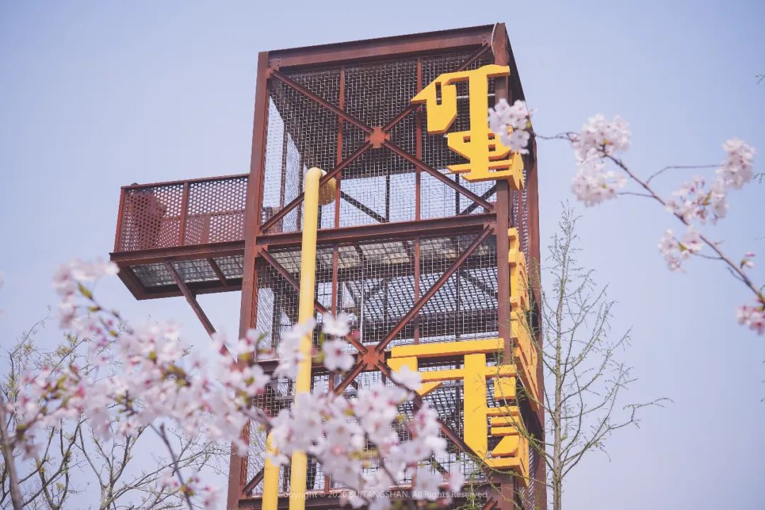 南京江宁网红打卡点有哪些,春日限定江宁新晋网红打卡点出炉