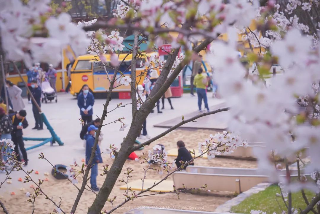 南京江宁网红打卡点有哪些,春日限定江宁新晋网红打卡点出炉