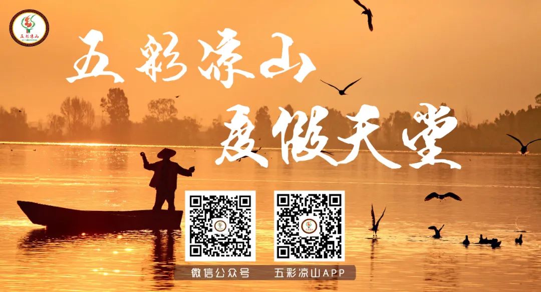 绿色出行骑自行车的视频,绿色出行就是要骑电动自行车