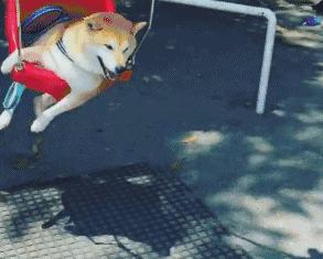 湖北消费券黄石餐饮券哪里可以用,湖北消费券餐饮券黄石哪里可以用