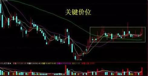 一位交易员留下的感悟,一位交易员的肺腑之言