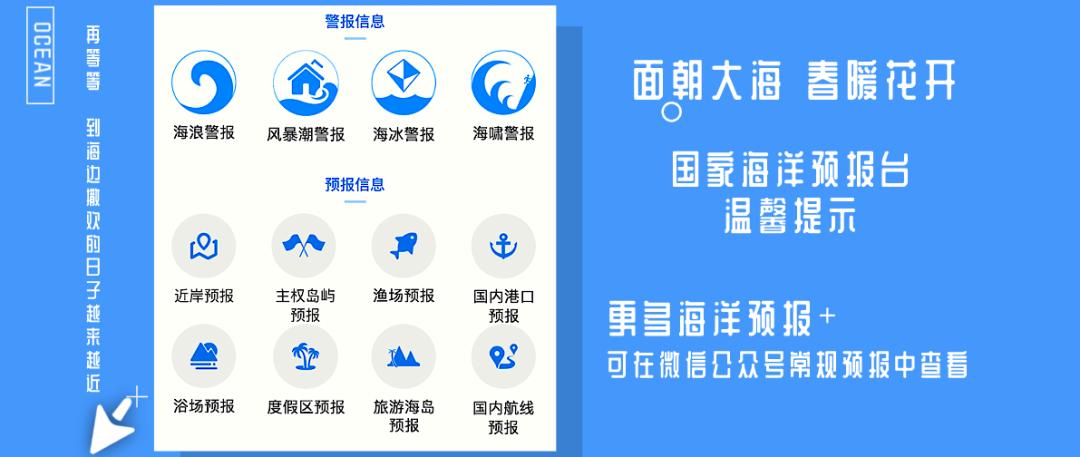 2020高校应届生看过来!小海苔期待和你做同事噢~