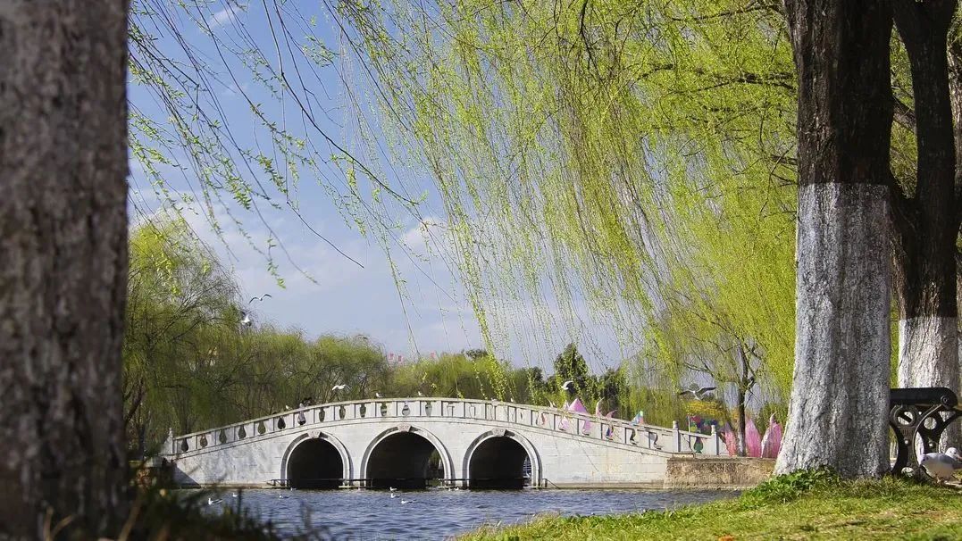 飞花令含鸟的诗句100条简单,春字飞花令诗句大全