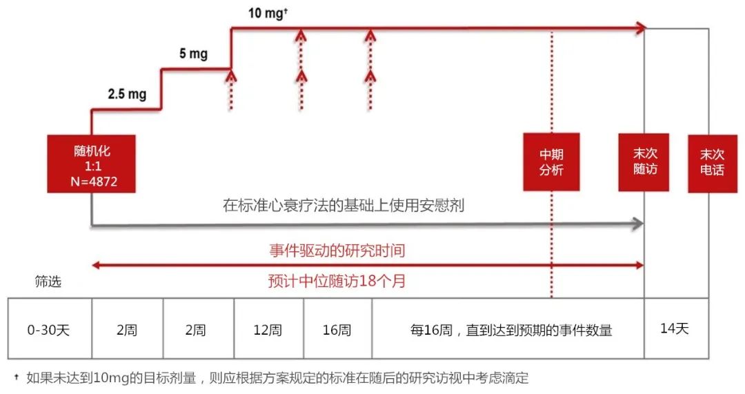 心力衰竭新指南最常用药物,2021acc心力衰竭专家共识