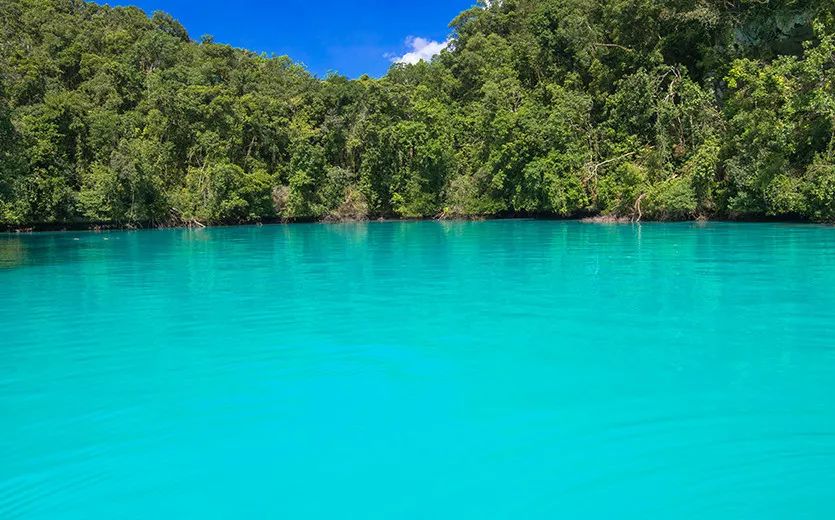 沾走“秽气”！各国花样泥浴泡出心中喜