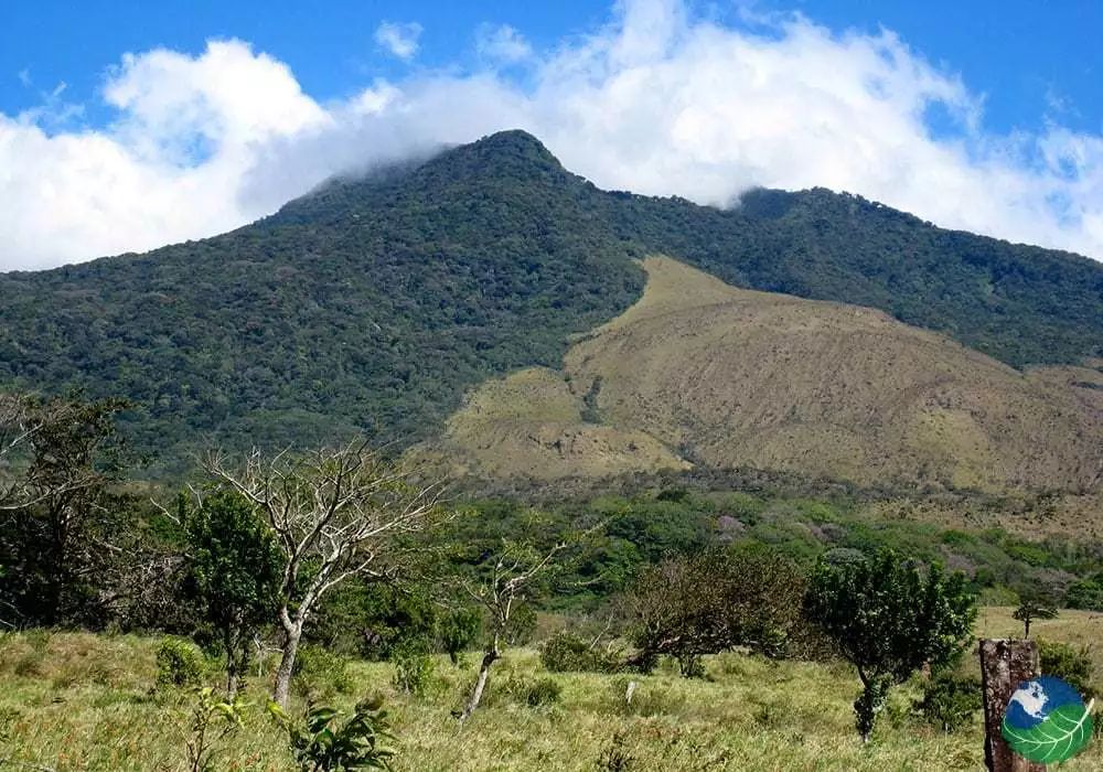 沾走“秽气”！各国花样泥浴泡出心中喜