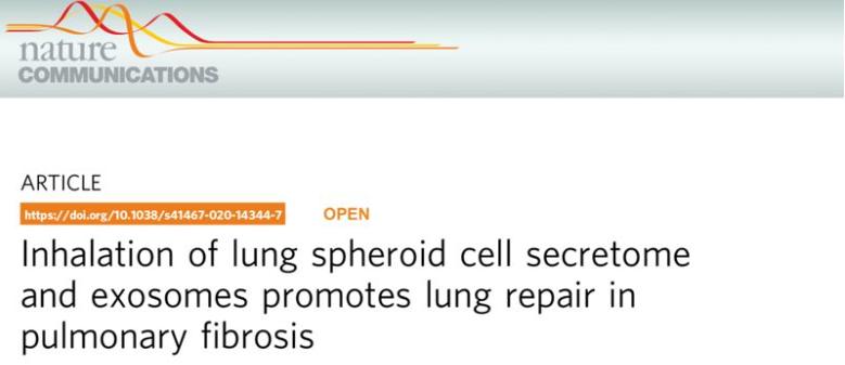 条条大路通罗马是怎么来的,条条大路通罗马示意图