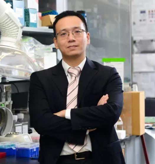 条条大路通罗马是怎么来的,条条大路通罗马示意图