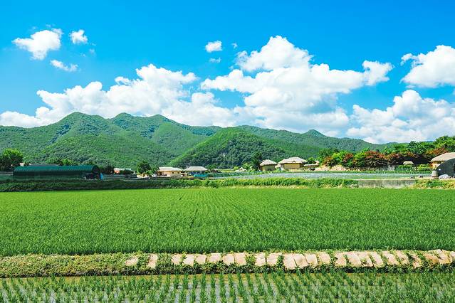 庆北三日,解锁你不知道的文化Korea