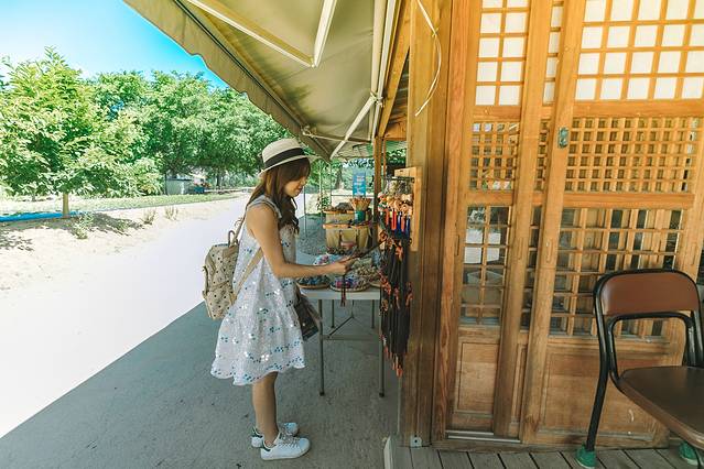 庆北三日,解锁你不知道的文化Korea