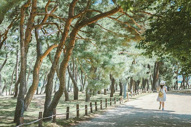 庆北三日，解锁你不知道的文化Korea