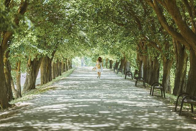 庆北三日,解锁你不知道的文化Korea