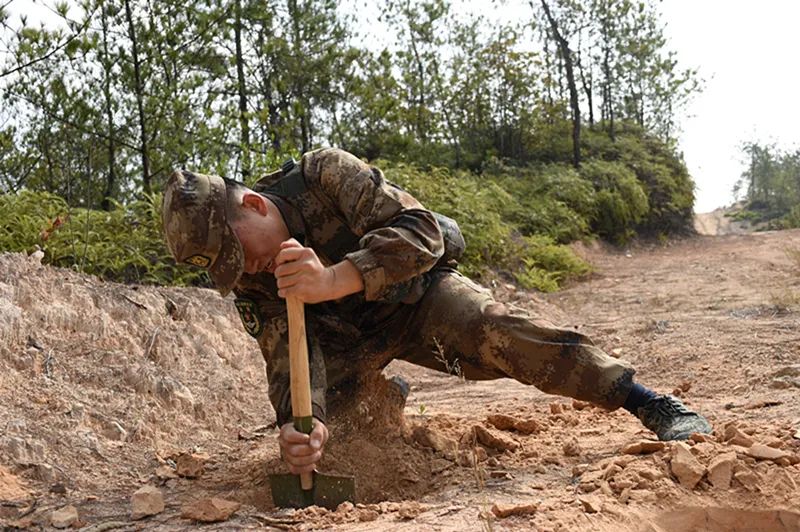 细数兵哥八大“坏毛病”