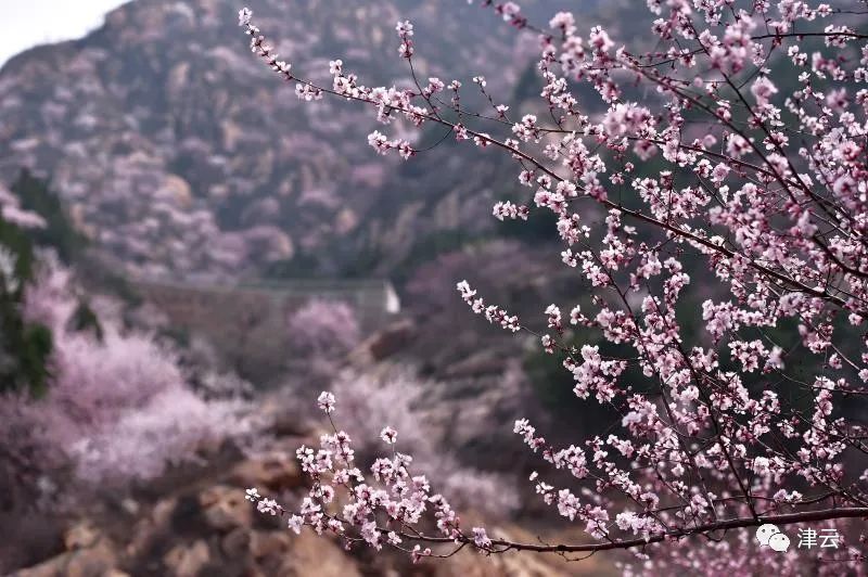 五一天津旅游攻略景点必去,天津五一旅游攻略必去景点大全