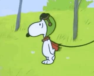 史努比简易漫画,史努比漫画全集70周年纪念版