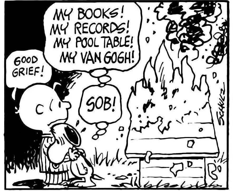 史努比简易漫画,史努比漫画全集70周年纪念版