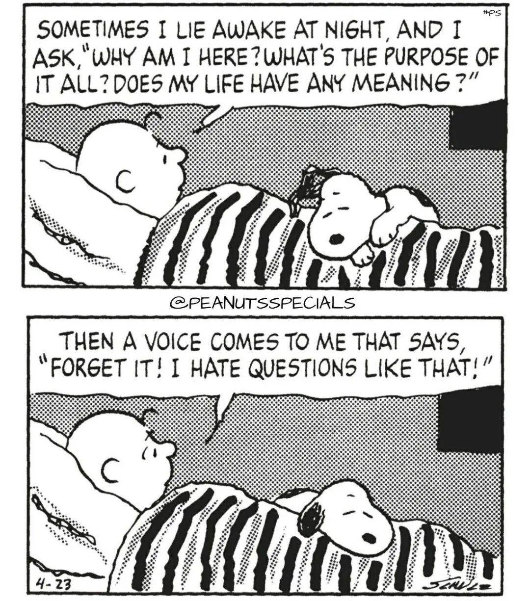 史努比简易漫画,史努比漫画全集70周年纪念版