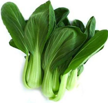 2020春季赏花指南，中国春色，满血复活