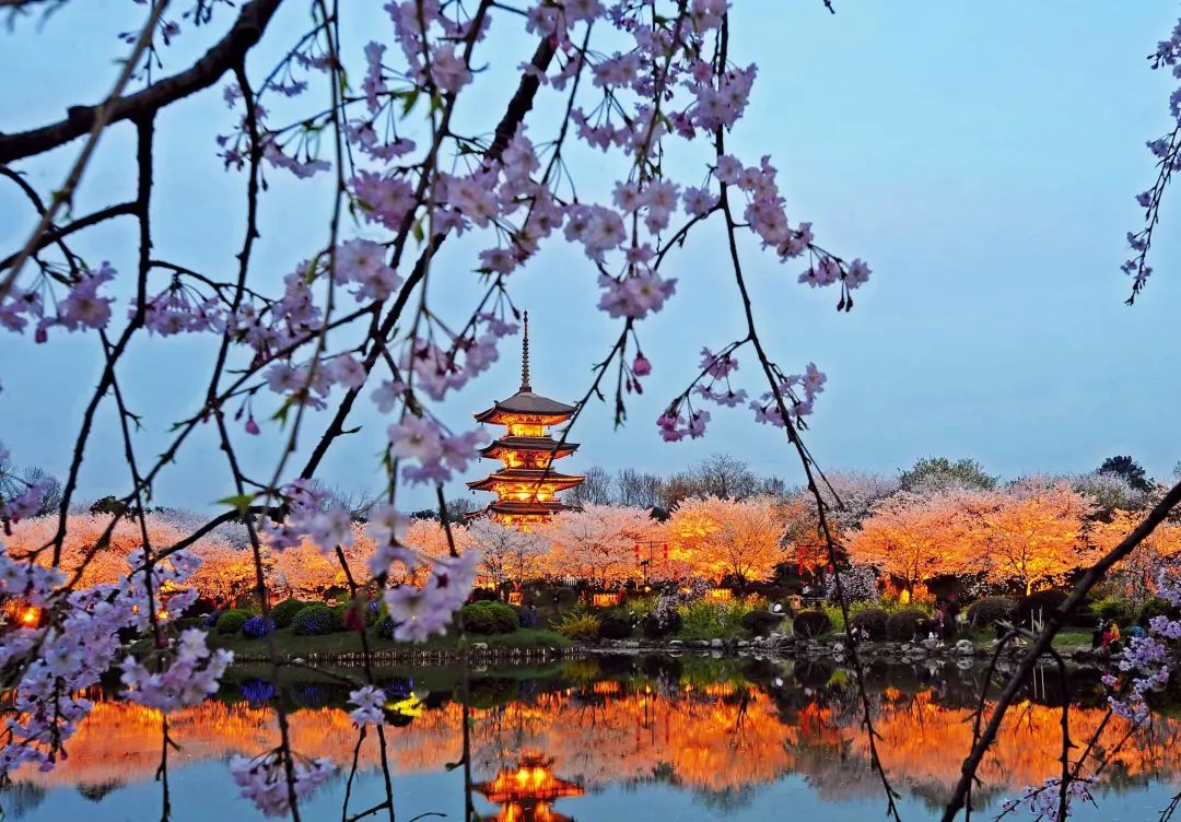 2020春季赏花指南，中国春色，满血复活