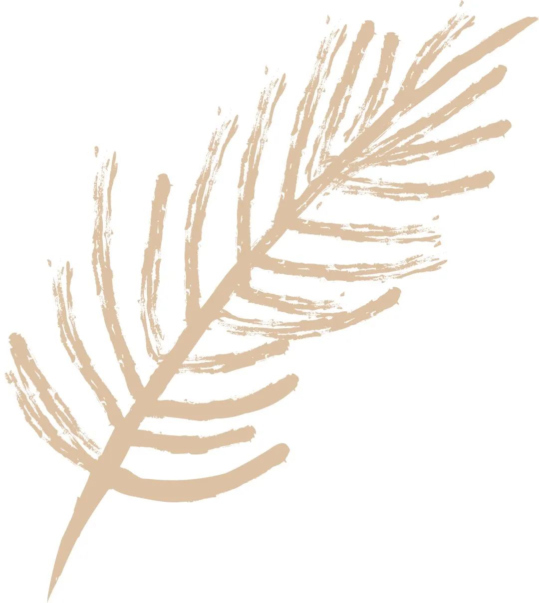 反复阅读强迫症该怎么克服啊,阅读的力量是什么