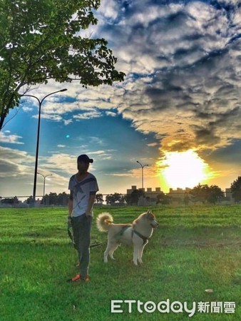 二哈打劫,二哈抢食后续