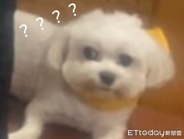 玛尔济斯沾到屎还灿笑　妈崩溃了