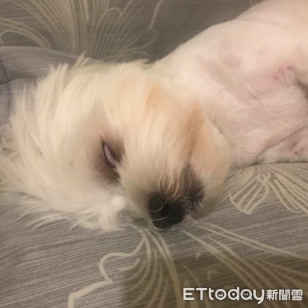 玛尔济斯沾到屎还灿笑　妈崩溃了