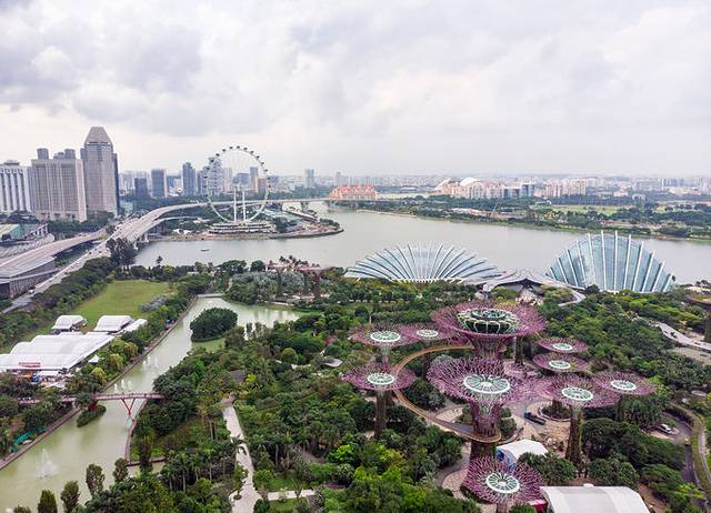 小狮妹骑摩托车,小狮妹最新视频