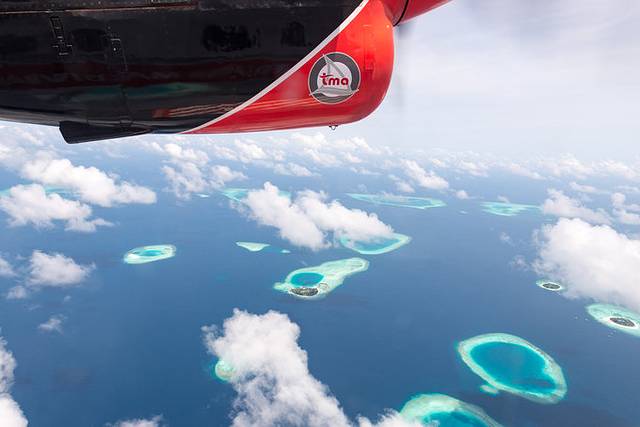 小狮妹骑摩托车,小狮妹最新视频