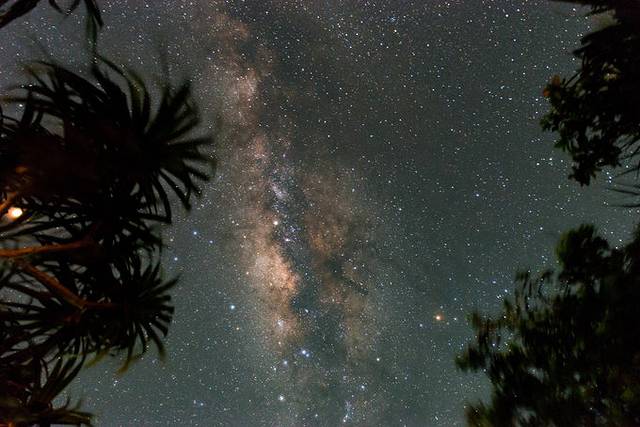 小狮妹骑摩托车,小狮妹最新视频