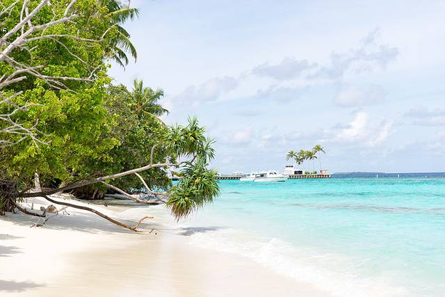 小狮妹骑摩托车,小狮妹最新视频