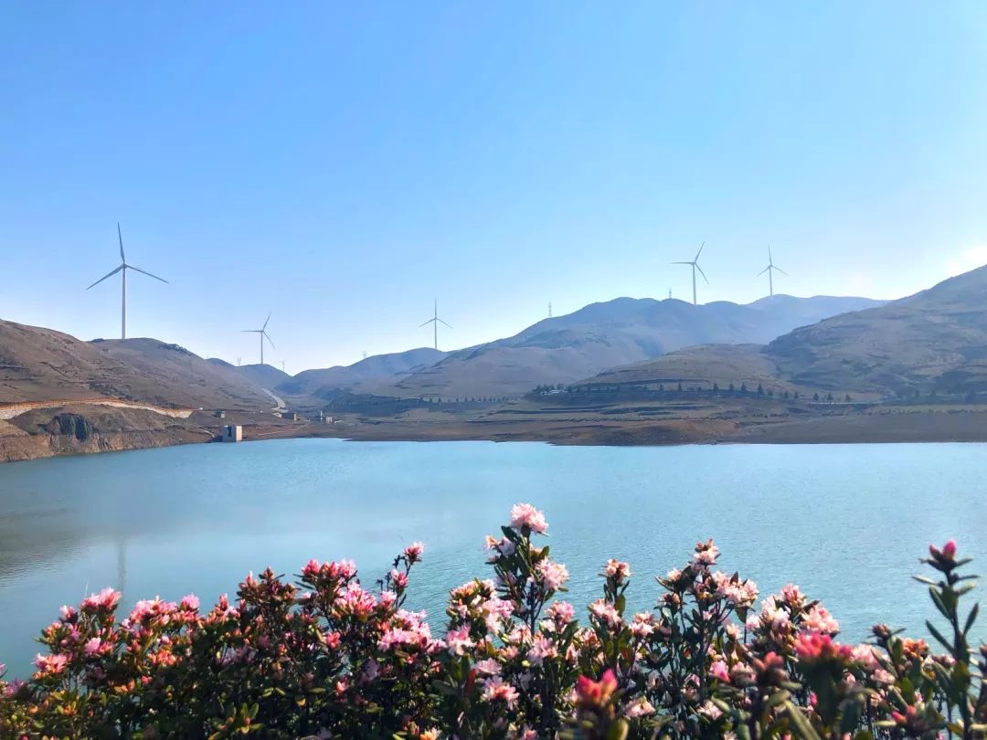 旅拍贵州！邂逅每一帧浪漫风景