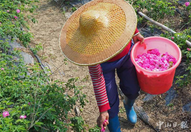 时令的味道,时令的味道完整版